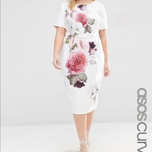 ASOS Curve White Dress with Roses